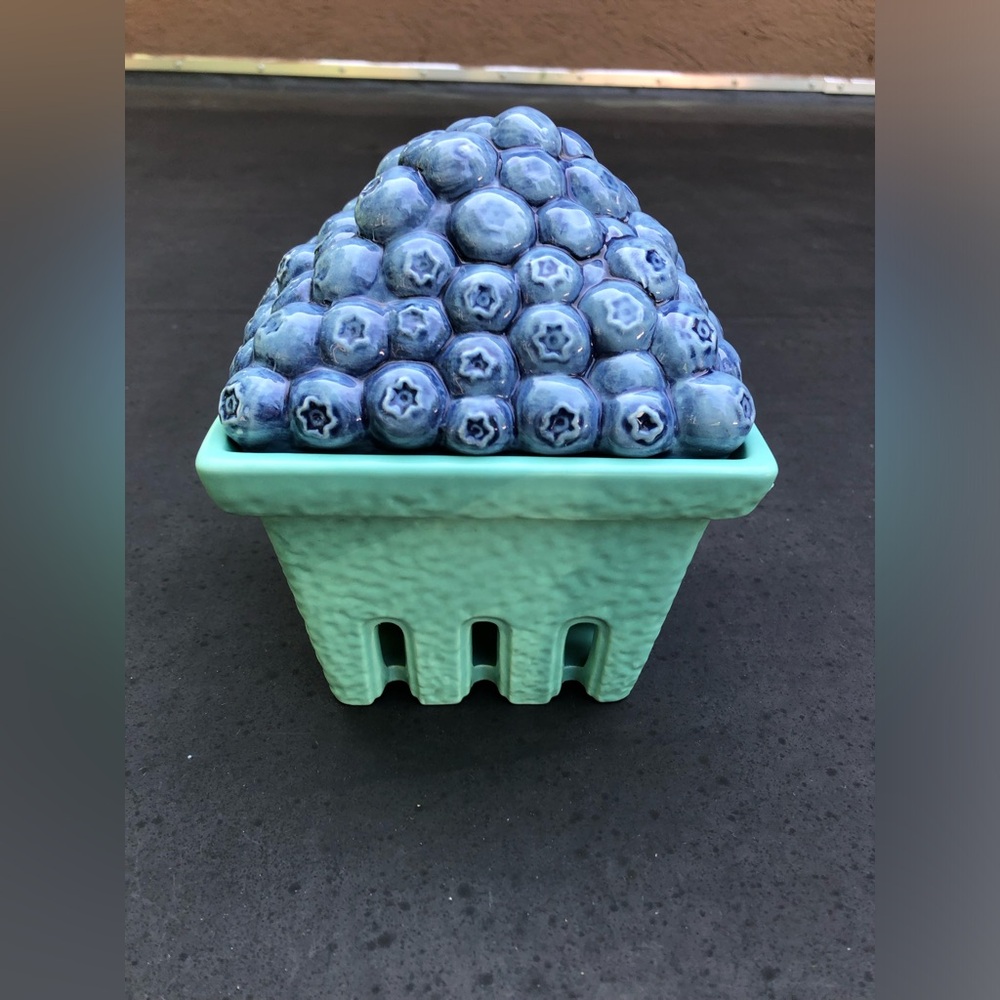 Blueberry Container - Picture 4 of 6